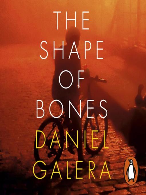 Upplýsingar um The Shape of Bones eftir Daniel Galera - Til útláns